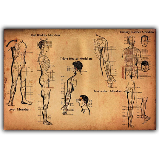 Meridian Acupuncture Poster