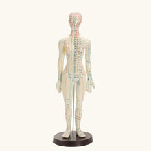 Load image into Gallery viewer, Printed Acupuncture Model Female
